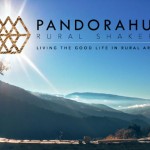 See How PANDORAHUB Is Revitalizing Rural Areas and Inspiring Changemakers